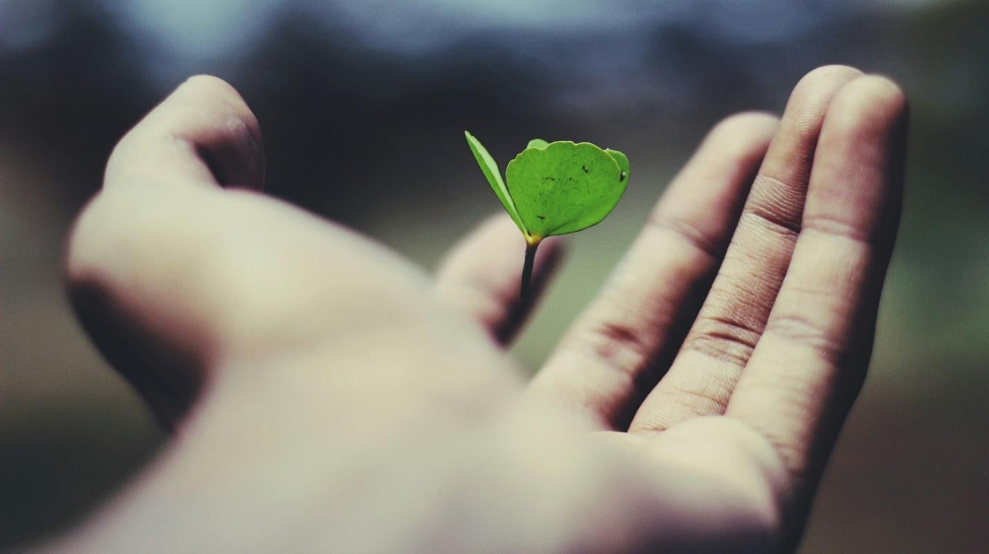 Créditos de carbono têm sido utilizados especialmente por celebridades, para compensar seu impacto negativo na natureza.